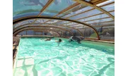 zastrešenie Vymeňte plachtu na bazén za posuvné zastrešenie od Alukovu